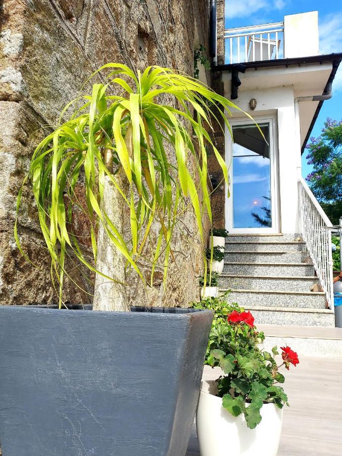 Villa Anselma, Casa Compartida ปอนเตเบดรา ภายนอก รูปภาพ